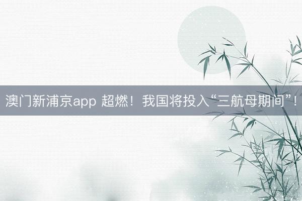 澳门新浦京app 超燃！我国将投入“三航母期间”！