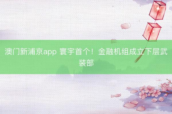 澳门新浦京app 寰宇首个！金融机组成立下层武装部