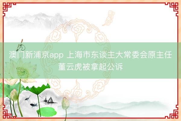 澳门新浦京app 上海市东谈主大常委会原主任董云虎被拿起公诉