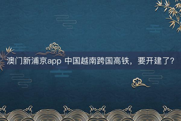 澳门新浦京app 中国越南跨国高铁，要开建了？