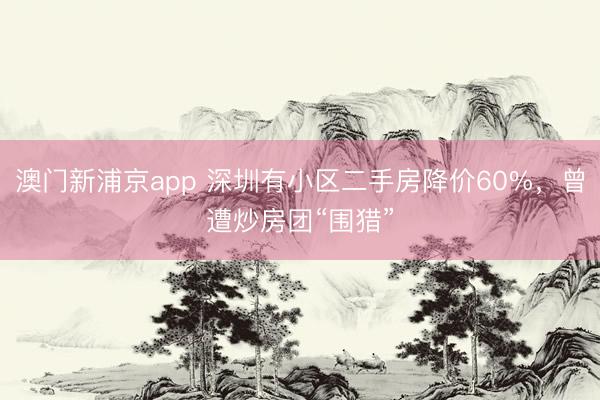 澳门新浦京app 深圳有小区二手房降价60%，曾遭炒房团“围猎”