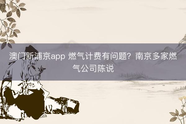 澳门新浦京app 燃气计费有问题?南京多家燃气公司陈说