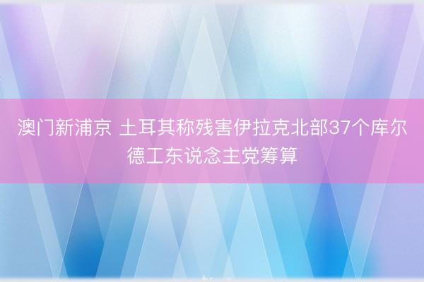 澳门新浦京 土耳其称残害伊拉克北部37个库尔德工东说念主党筹算