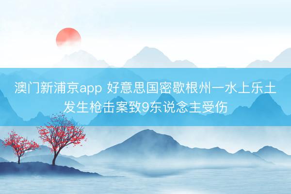 澳门新浦京app 好意思国密歇根州一水上乐土发生枪击案致9东说念主受伤