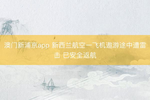 澳门新浦京app 新西兰航空一飞机遨游途中遭雷击 已安全返航