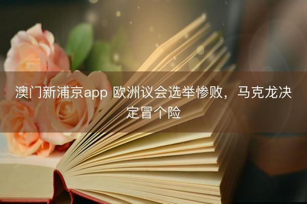 澳门新浦京app 欧洲议会选举惨败，马克龙决定冒个险