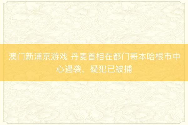 澳门新浦京游戏 丹麦首相在都门哥本哈根市中心遇袭,疑犯已被捕