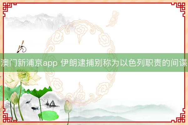澳门新浦京app 伊朗逮捕别称为以色列职责的间谍