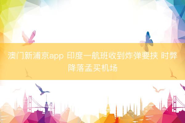 澳门新浦京app 印度一航班收到炸弹要挟 时弊降落孟买机场