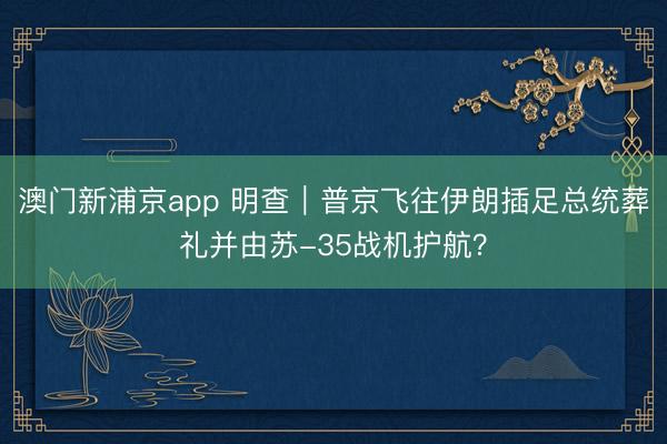 澳门新浦京app 明查｜普京飞往伊朗插足总统葬礼并由苏-35战机护航？