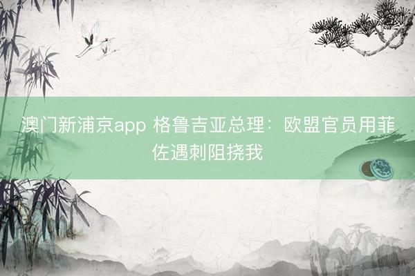 澳门新浦京app 格鲁吉亚总理：欧盟官员用菲佐遇刺阻挠我