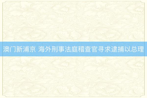 澳门新浦京 海外刑事法庭稽查官寻求逮捕以总理