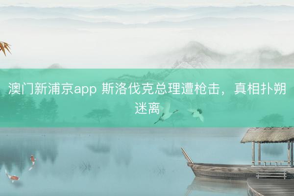 澳门新浦京app 斯洛伐克总理遭枪击，真相扑朔迷离