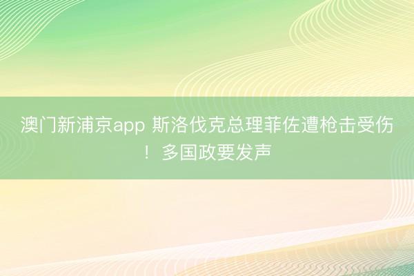 澳门新浦京app 斯洛伐克总理菲佐遭枪击受伤！多国政要发声