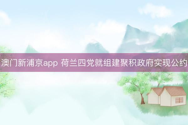 澳门新浦京app 荷兰四党就组建聚积政府实现公约