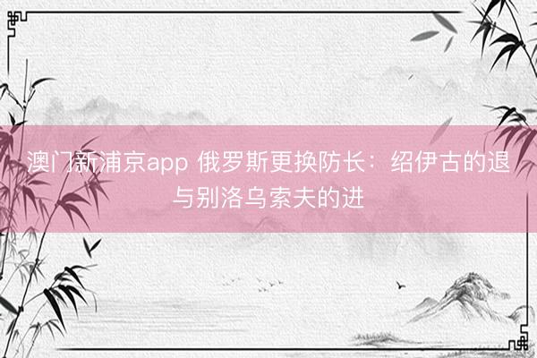 澳门新浦京app 俄罗斯更换防长：绍伊古的退与别洛乌索夫的进