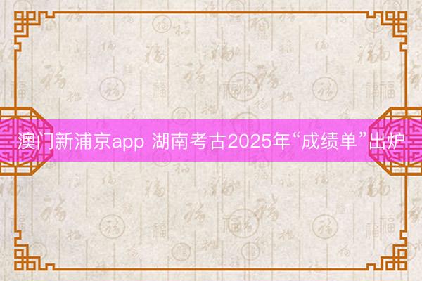 澳门新浦京app 湖南考古2025年“成绩单”出炉