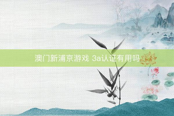 澳门新浦京游戏 3a认证有用吗