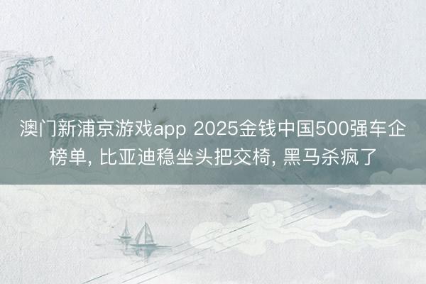 澳门新浦京游戏app 2025金钱中国500强车企榜单， 比亚迪稳坐头把交椅， 黑马杀疯了