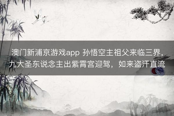 澳门新浦京游戏app 孙悟空主祖父来临三界，九大圣东说念主出紫霄宫迎驾，如来盗汗直流