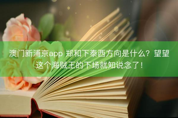 澳门新浦京app 郑和下泰西方向是什么?望望这个海贼王的下场就知说念了!