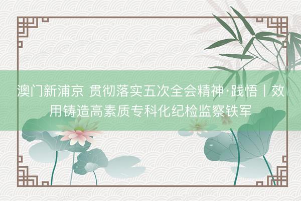 澳门新浦京 贯彻落实五次全会精神·践悟丨效用铸造高素质专科化纪检监察铁军