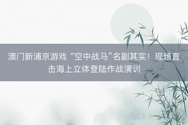 澳门新浦京游戏 “空中战马”名副其实！现场直击海上立体登陆作战演训