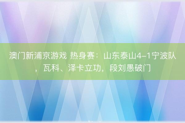 澳门新浦京游戏 热身赛：山东泰山4-1宁波队，瓦科、泽卡立功，段刘愚破门