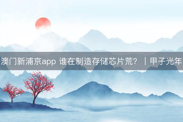 澳门新浦京app 谁在制造存储芯片荒?|甲子光年