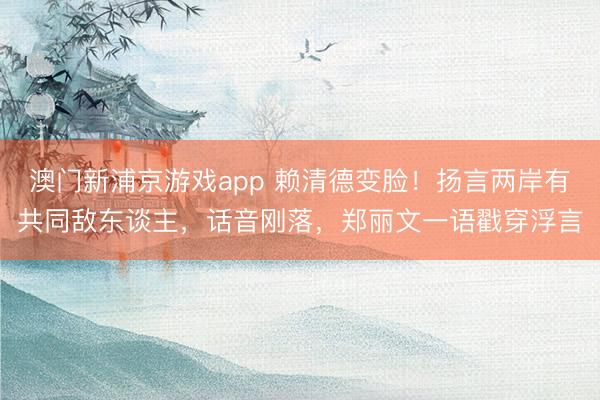 澳门新浦京游戏app 赖清德变脸！扬言两岸有共同敌东谈主，话音刚落，郑丽文一语戳穿浮言