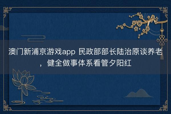 澳门新浦京游戏app 民政部部长陆治原谈养老，健全做事体系看管夕阳红