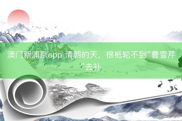 澳门新浦京app 清朝的天，根柢轮不到“曹雪芹”去补