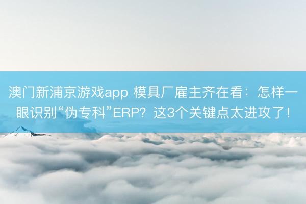 澳门新浦京游戏app 模具厂雇主齐在看：怎样一眼识别“伪专科”ERP？这3个关键点太进攻了！
