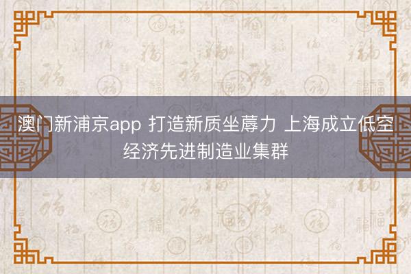 澳门新浦京app 打造新质坐蓐力 上海成立低空经济先进制造业集群