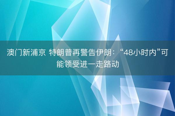 澳门新浦京 特朗普再警告伊朗：“48小时内”可能领受进一走路动