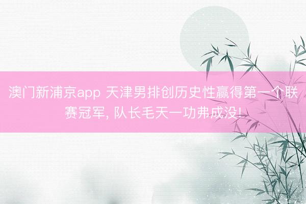 澳门新浦京app 天津男排创历史性赢得第一个联赛冠军, 队长毛天一功弗成没!