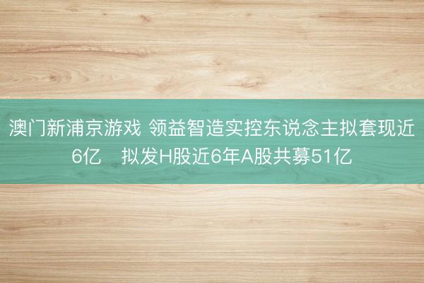 澳门新浦京游戏 领益智造实控东说念主拟套现近6亿 拟发H股近6年A股共募51亿