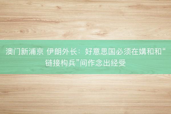 澳门新浦京 伊朗外长:好意思国必须在媾和和“链接构兵”间作念出经受