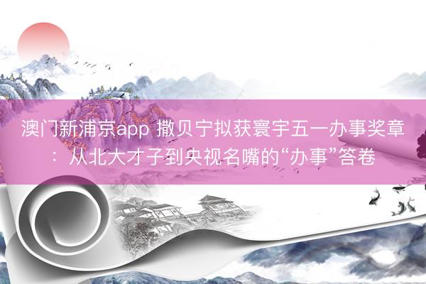 澳门新浦京app 撒贝宁拟获寰宇五一办事奖章：从北大才子到央视名嘴的“办事”答卷