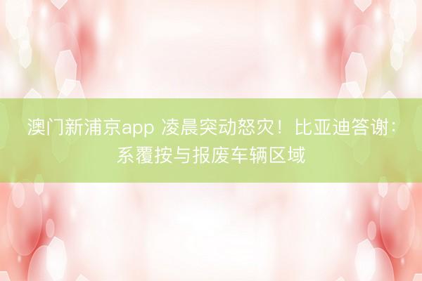澳门新浦京app 凌晨突动怒灾！比亚迪答谢：系覆按与报废车辆区域