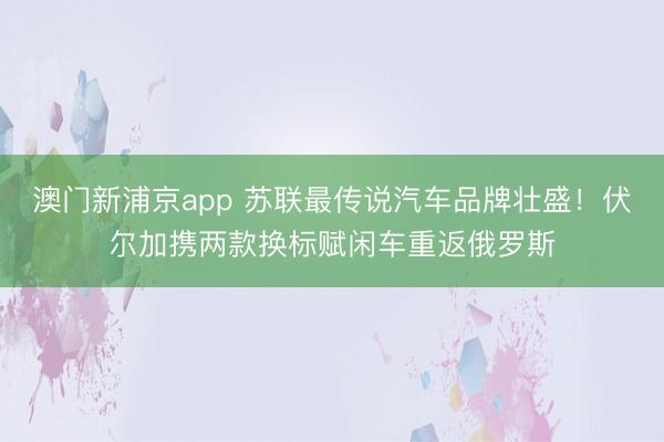 澳门新浦京app 苏联最传说汽车品牌壮盛！伏尔加携两款换标赋闲车重返俄罗斯