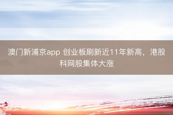 澳门新浦京app 创业板刷新近11年新高，港股科网股集体大涨