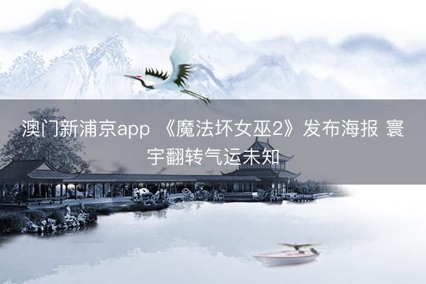 澳门新浦京app 《魔法坏女巫2》发布海报 寰宇翻转气运未知
