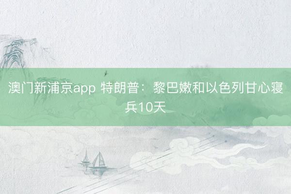澳门新浦京app 特朗普：黎巴嫩和以色列甘心寝兵10天