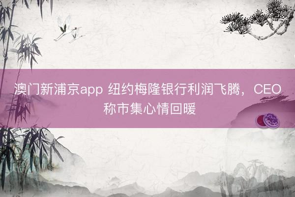 澳门新浦京app 纽约梅隆银行利润飞腾，CEO 称市集心情回暖
