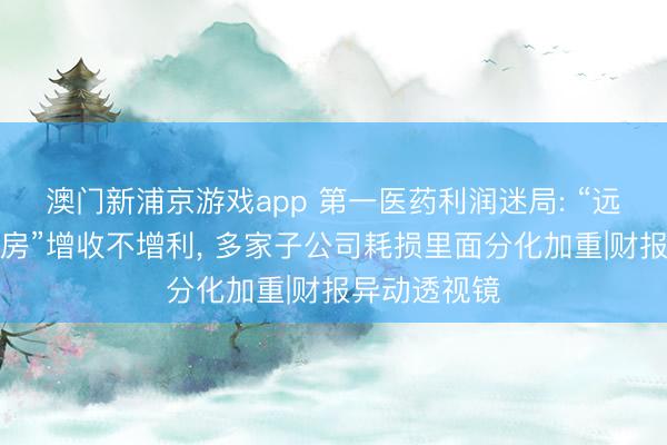 澳门新浦京游戏app 第一医药利润迷局: “远东第一大药房”增收不增利， 多家子公司耗损里面分化加重|财报异动透视镜