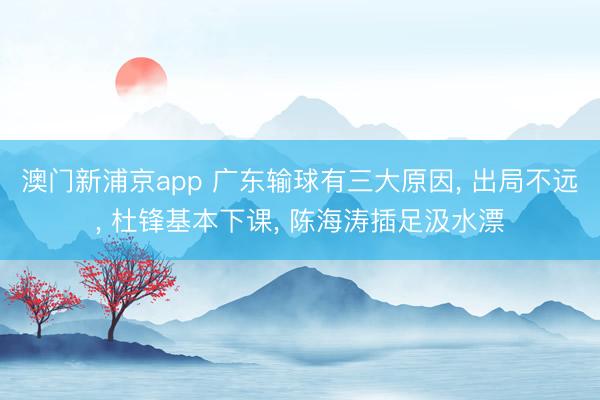 澳门新浦京app 广东输球有三大原因， 出局不远， 杜锋基本下课， 陈海涛插足汲水漂