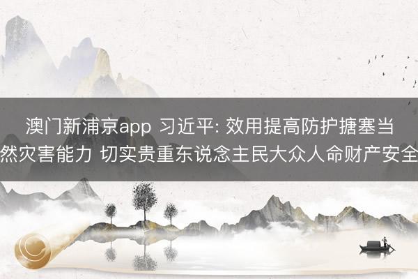 澳门新浦京app 习近平: 效用提高防护搪塞当然灾害能力 切实贵重东说念主民大众人命财产安全