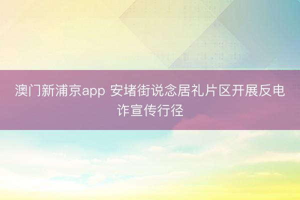 澳门新浦京app 安堵街说念居礼片区开展反电诈宣传行径
