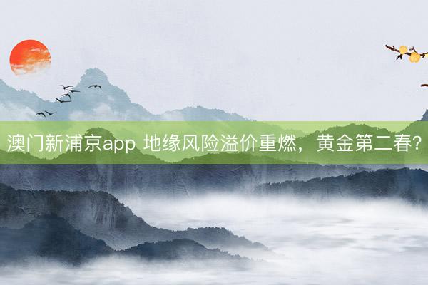 澳门新浦京app 地缘风险溢价重燃，黄金第二春？